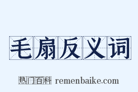 毛扇反义词是什么意思的图片